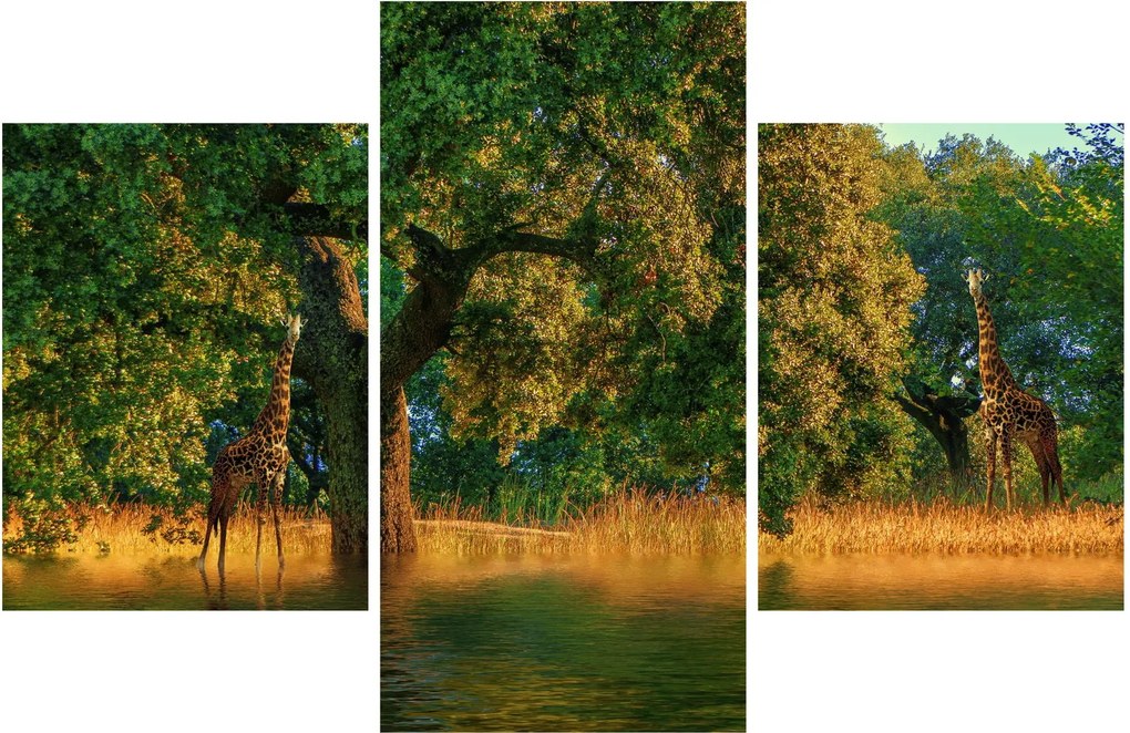 Tablou cu girafe în natură (90x60 cm)