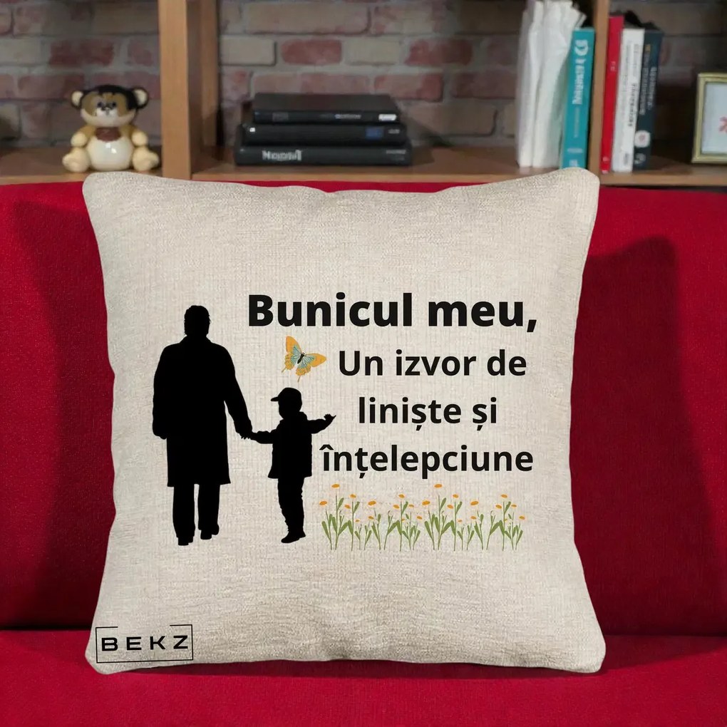 Cadou pentru Bunic - Perna Personalizata Bunicul Meu Izvor de Liniste cu Fluture si Baietel, 40x40 cm, Bej Canapea, Husa Detasabila, Perna Inclusa, BEKZ®