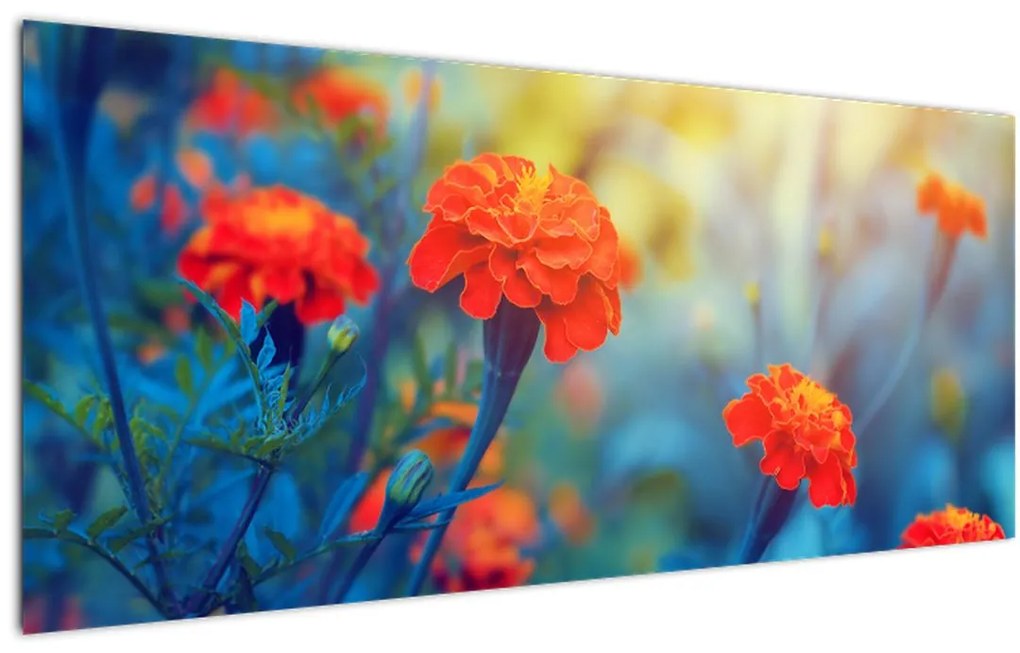 Tablou - Flori portocalii (120x50 cm)