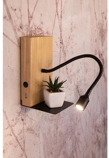 Spot-Light 5722174 - Aplica de perete LED LECTOR LED/2,5W/230V USB stejar