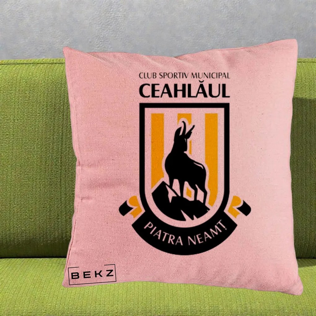 Perna Personalizata CSM Ceahlaul Piatra Neamt Fotbal, 40x40 cm, Roz, Husa Detasabila, Perna Inclusa, BEKZ®