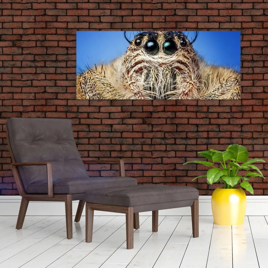 Tablou cu detalii a unui pâianjen (120x50 cm)