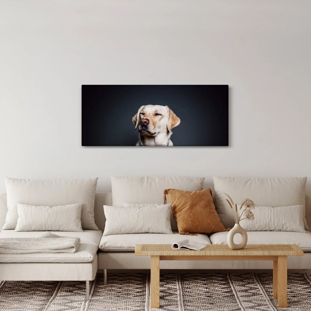 Tablou cu labrador (120x50 cm)