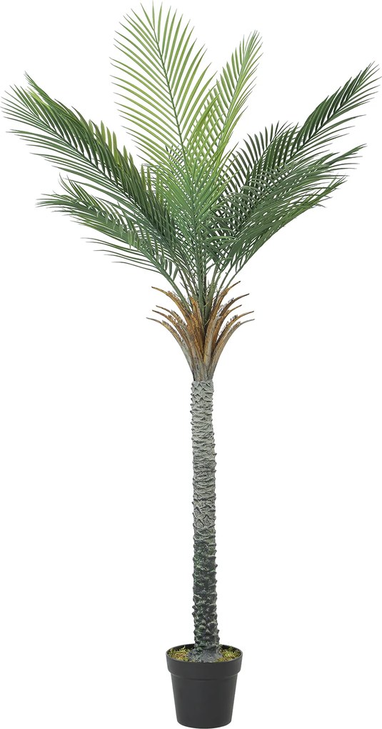 HOMCOM Plantă Artificială Decorativă 180 cm Palmier Artificial cu Ghiveci și Frunze pentru Interior Verde | Aosom Romania