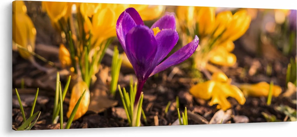 Tablou cu floare violetă (120x50 cm)