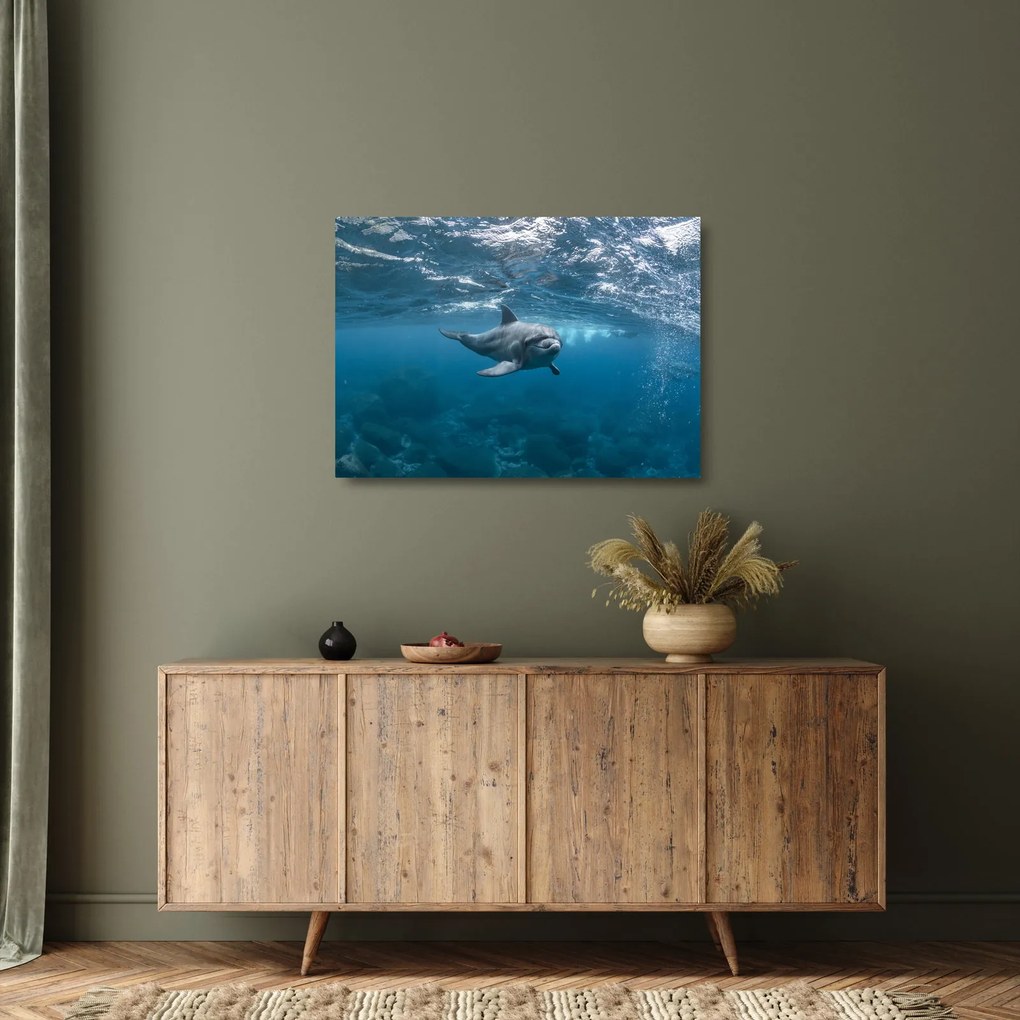 Tablou pe sticlă - Delfin sub apă (70x50 cm)
