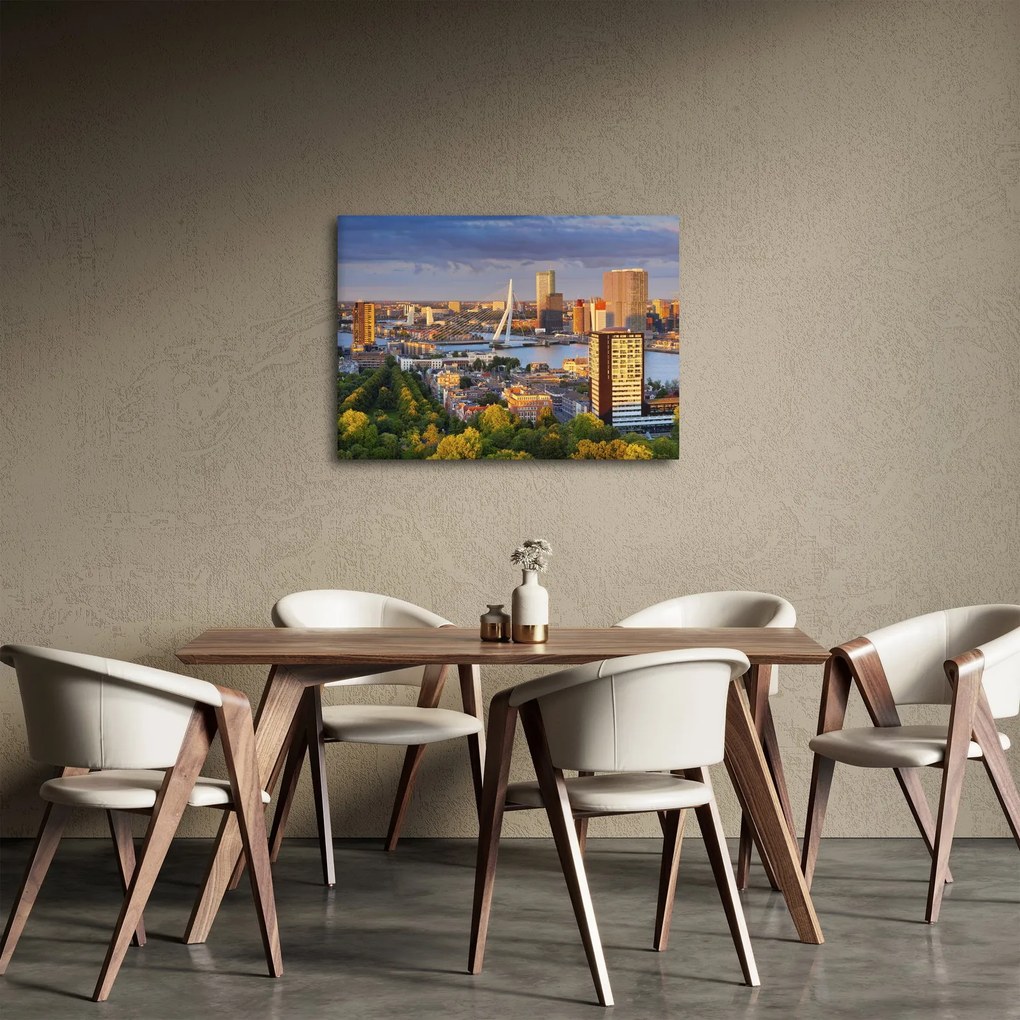 Tablou - Panorama Rotterdamului, Țările de Jos (70x50 cm)
