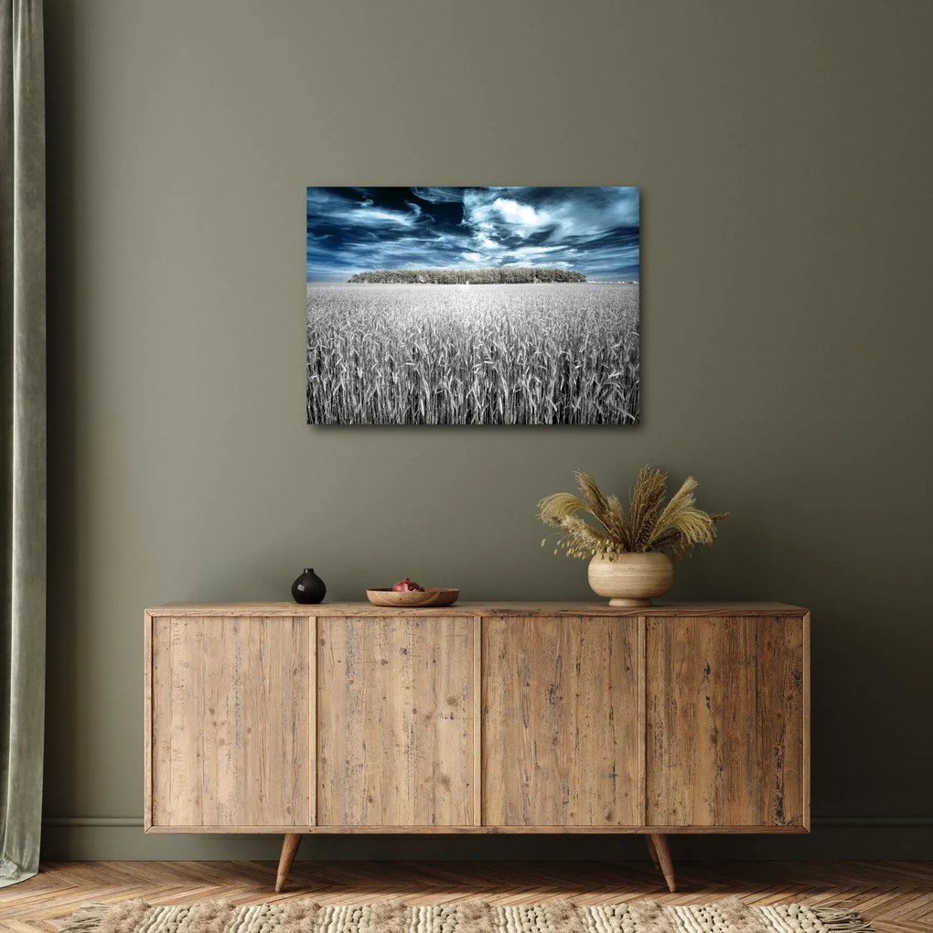 Tablou cu câmp (70x50 cm)