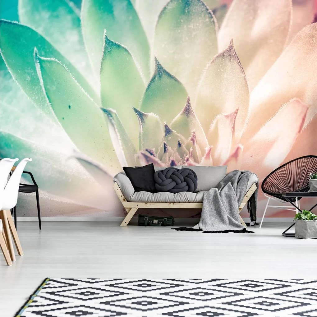 Fototapet - Floare de lotus (152,5x104 cm)