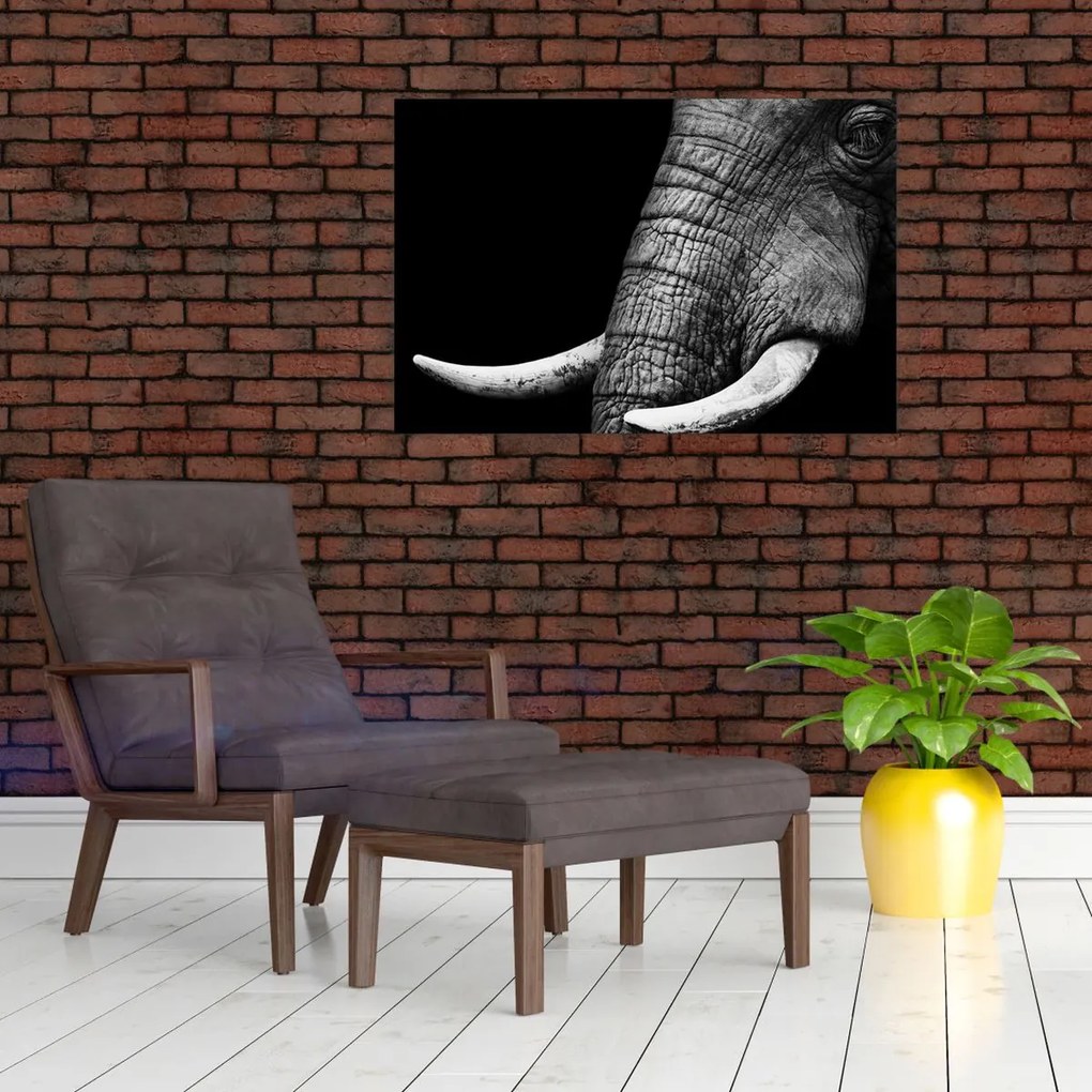 Tablou - Colți de elefant (90x60 cm)