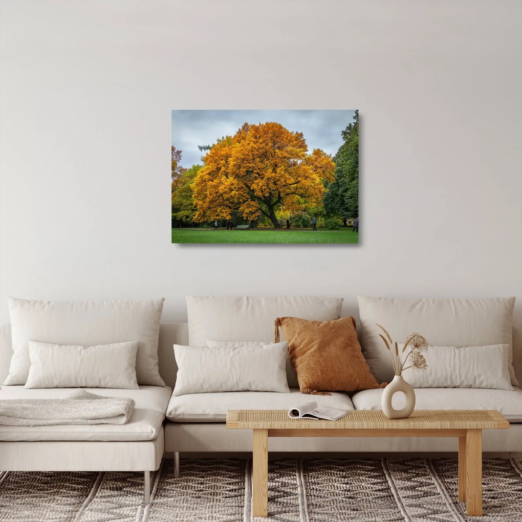Tablou pe sticlă cu copac (70x50 cm)