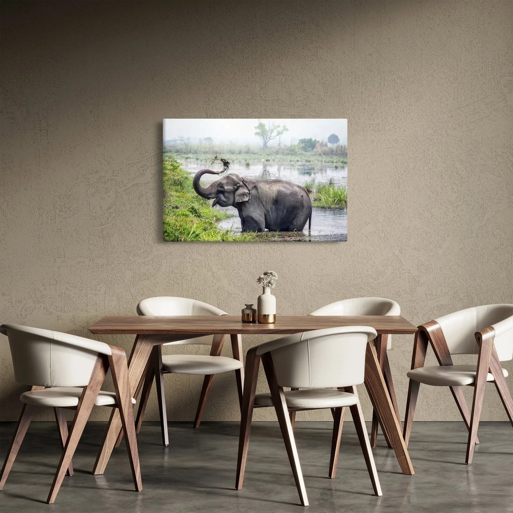 Tablou - Elefant de scăldat (90x60 cm)
