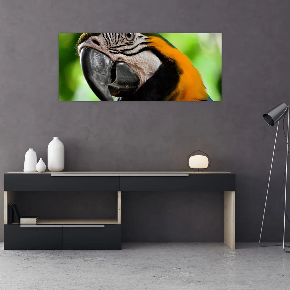 Tablou cu papagal (120x50 cm)