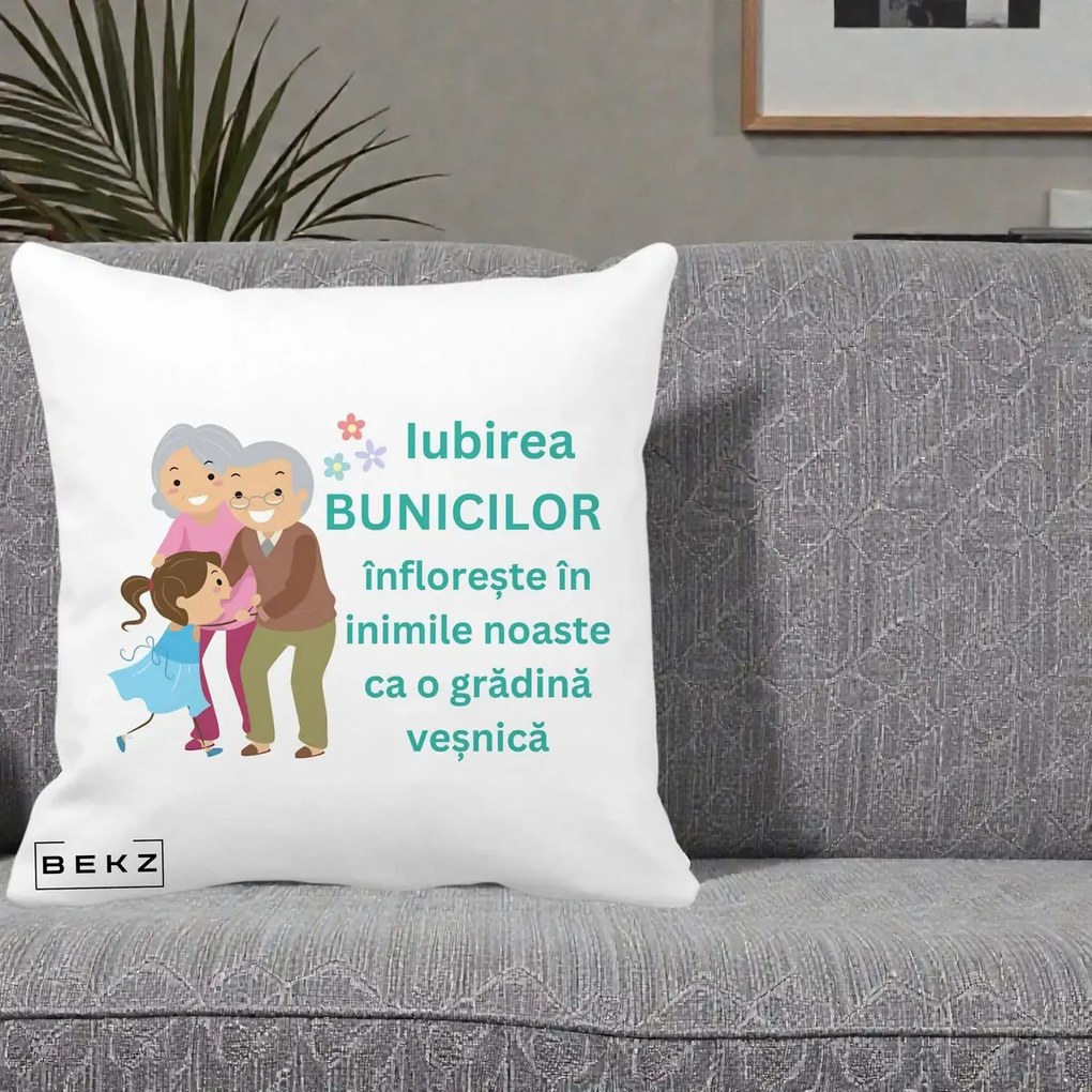 Cadou pentru Bunici - Perna Personalizata Bunicii Iubirea Infloreste cu Nepoata Teal, 40x40 cm, Alba Mata, Husa Detasabila, Perna Inclusa, BEKZ®