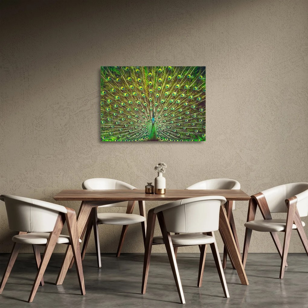 Tablou pe sticlă - Peacock (70x50 cm)