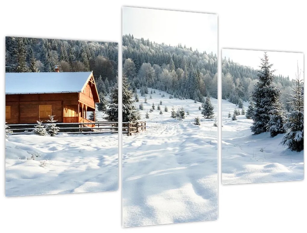 Tablou - Cabană de munte (90x60 cm)