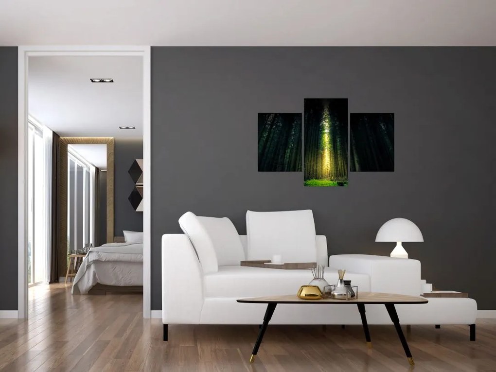 Tablou cu pădurea întunecată (90x60 cm)