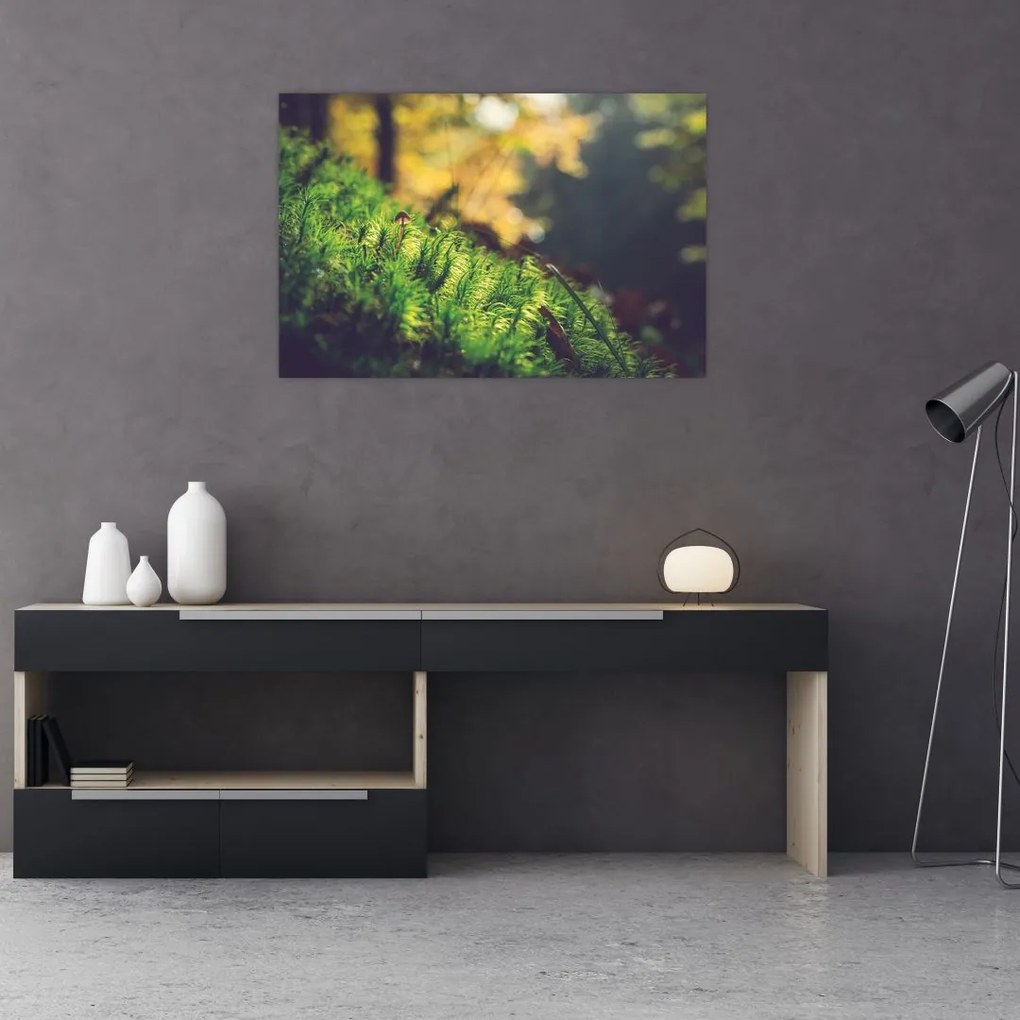 Tablou - Ciupercă și muschi (90x60 cm)