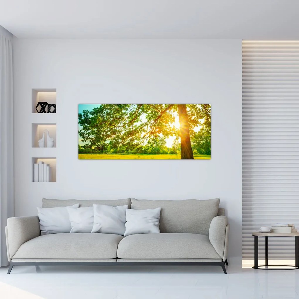 Tablou - Pădurea însorită (120x50 cm)