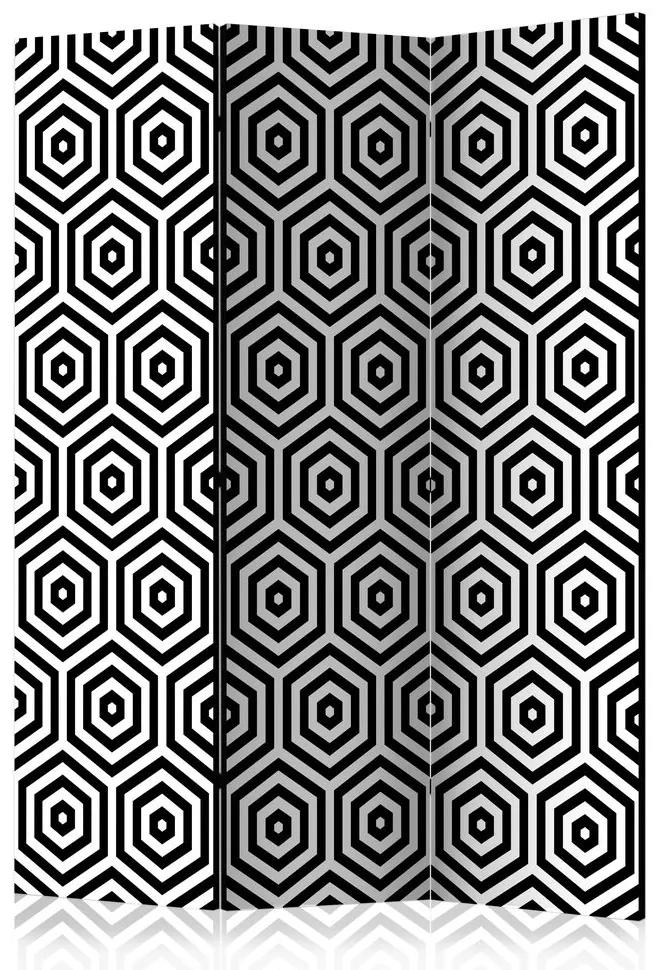 Paravan - Black and White Hypnosis [Room Dividers]