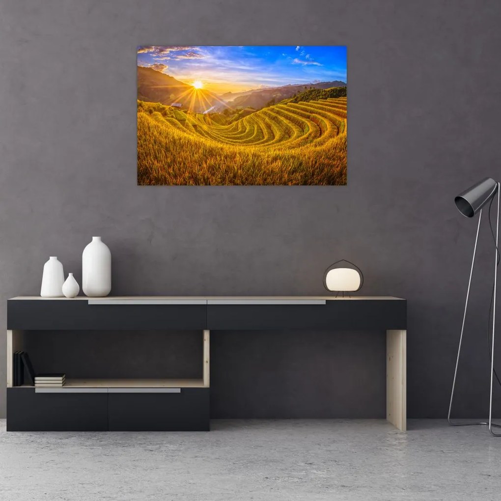 Tablou - Terasele de orez din Vietnam (90x60 cm)