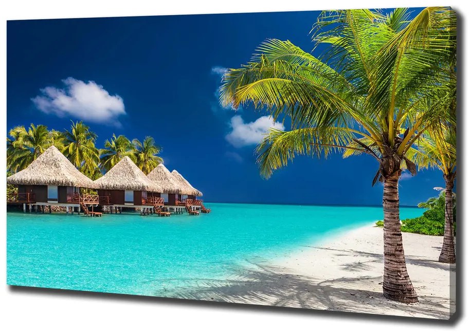 Tablou pe pânză canvas Bungalow-uri maldive