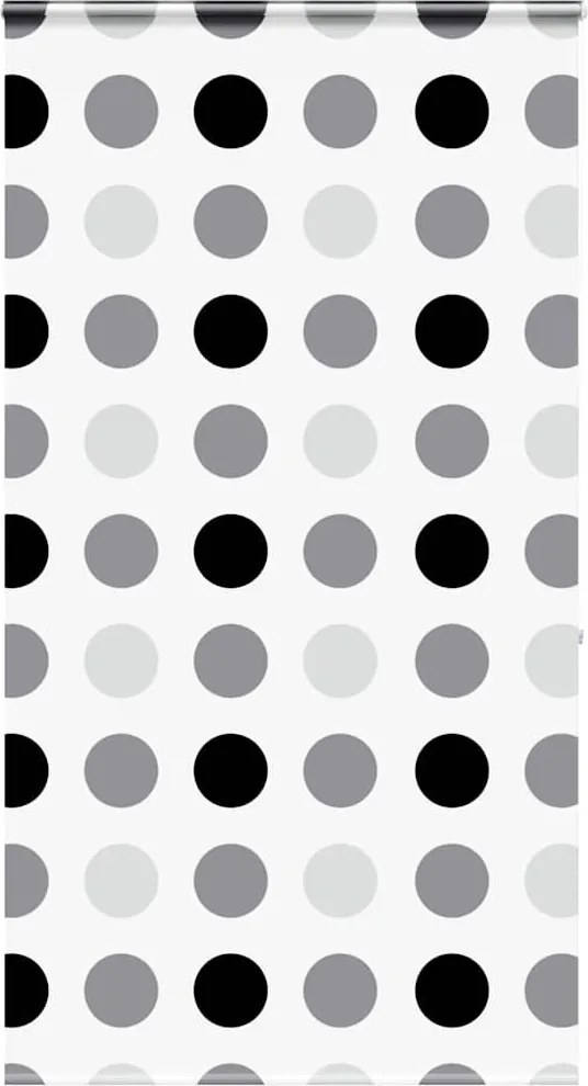 vidaXL Jaluzea cu role de duș cu casetă 120x240cm lățime material 116cm