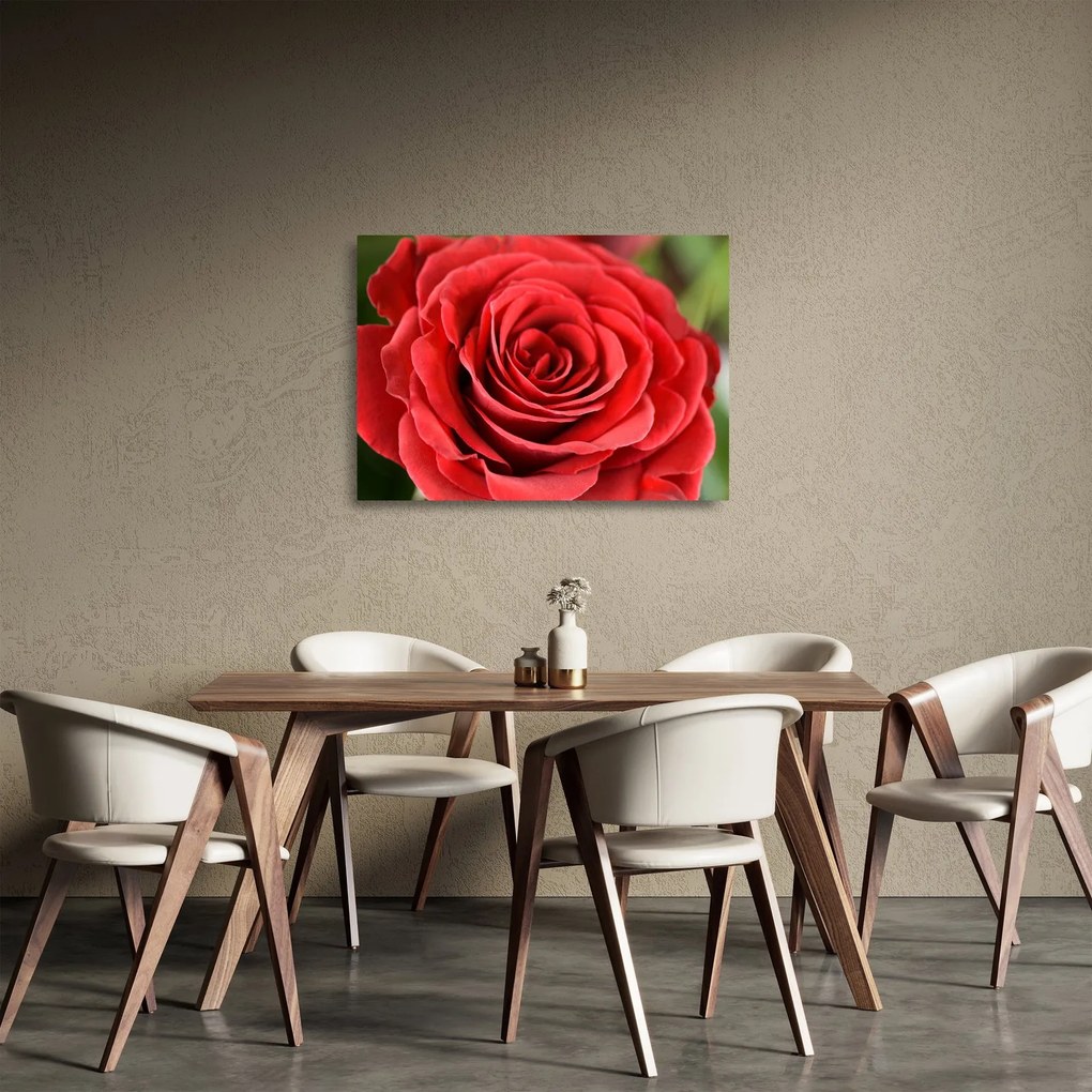 Tablou pe sticlă - Flori de trandafir (70x50 cm)