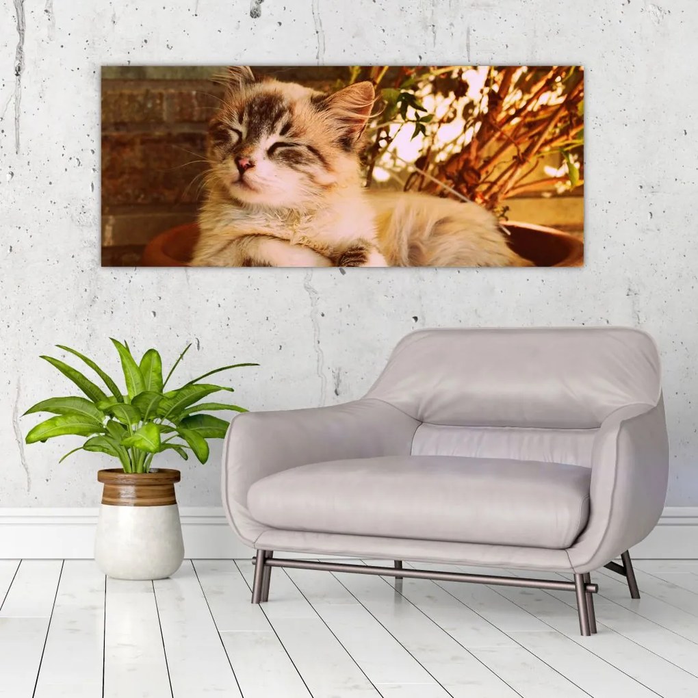 Tablou cu pisica în ghiveci (120x50 cm)