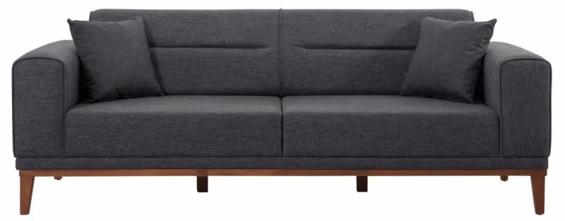 Set Canapea Extensibilă si Fotoliu Liones Tepsili, Antracit