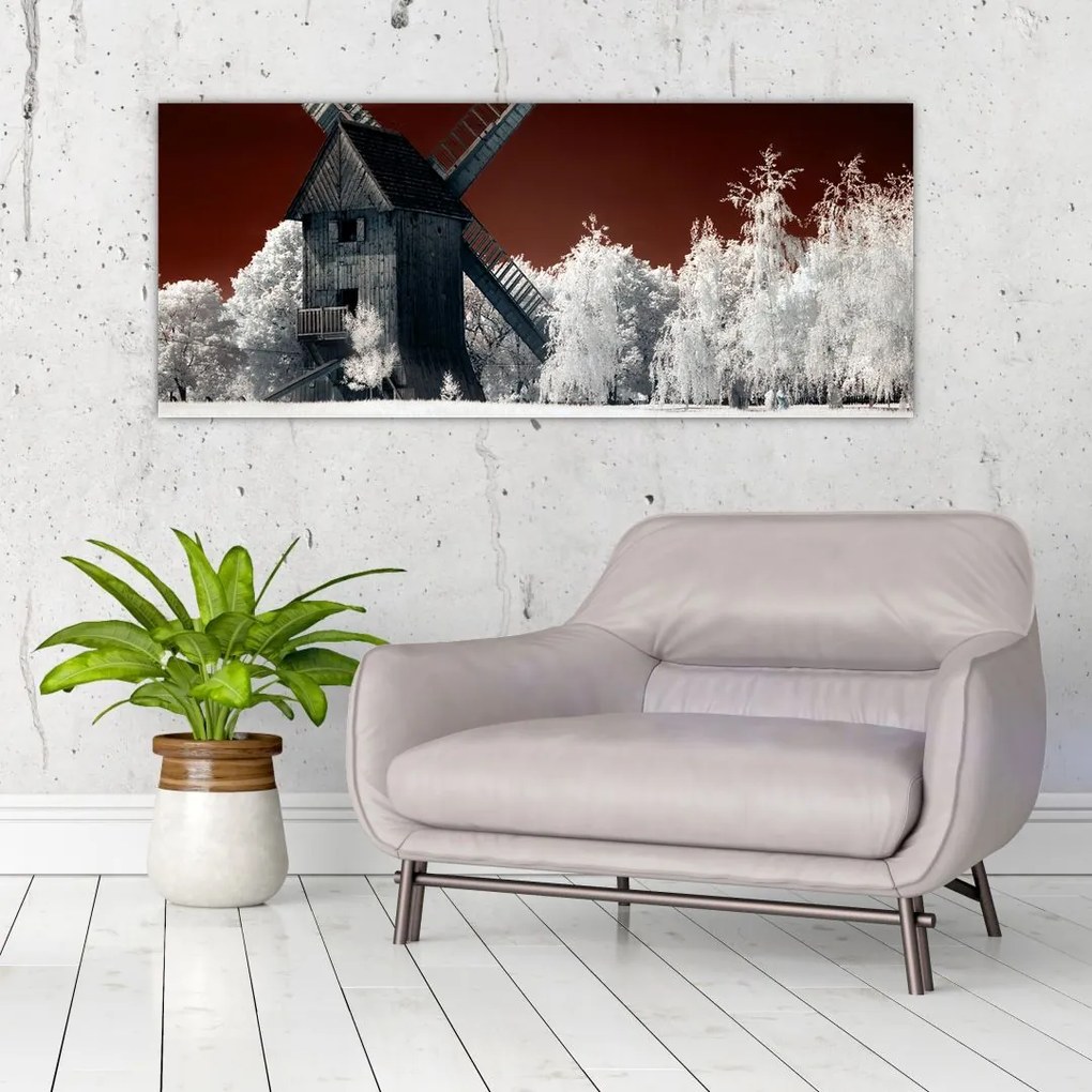 Tablou cu moară (120x50 cm)
