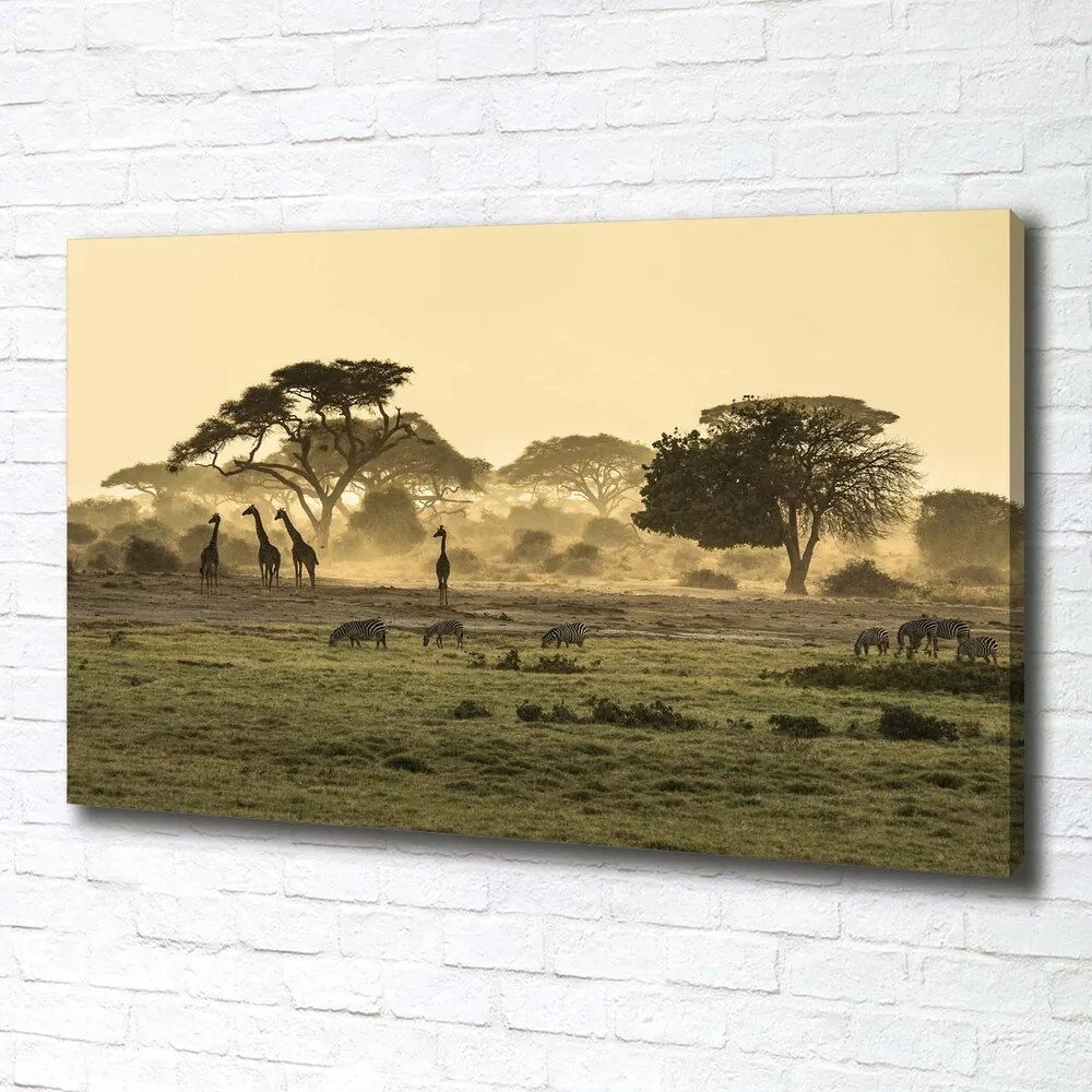 Imprimare tablou canvas Girafele pe savana