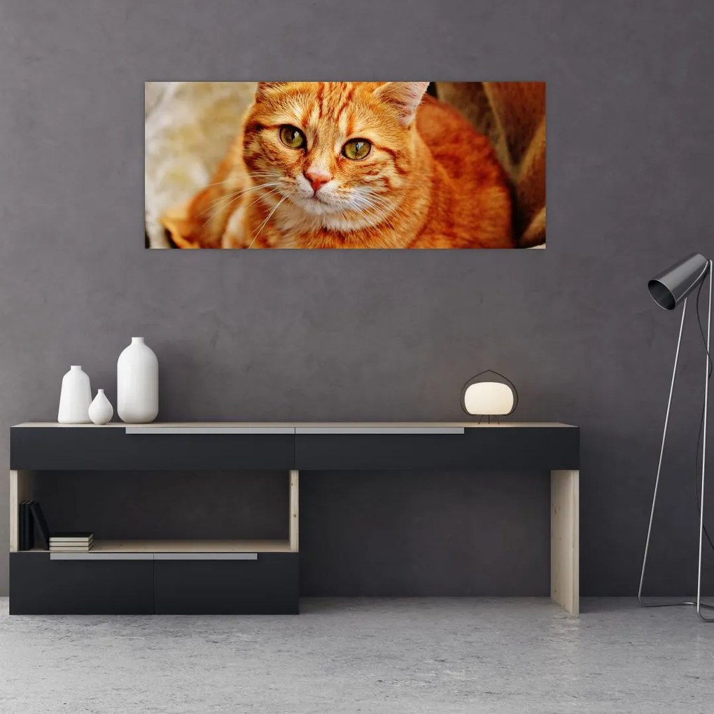 Tablou - Pisica tolenită (120x50 cm)