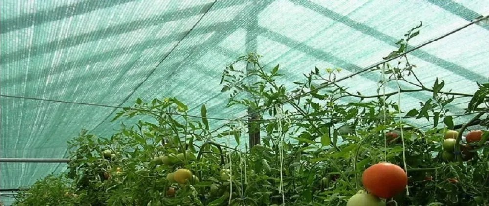 Plasă de umbrire cu 62% - 65g/m2 2m x 50m