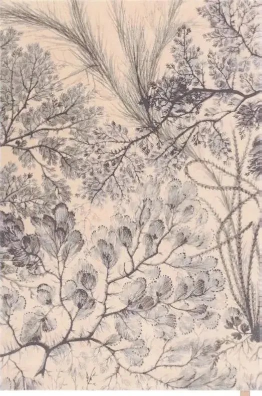 Covor lana Kelp Menta Selectează mărime: 230 X 340