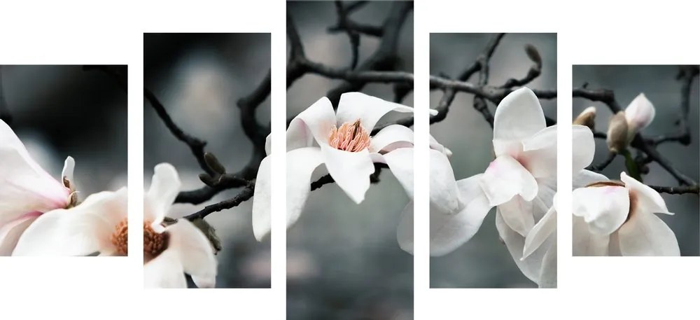 Tablou 5-piese trezirea magnoliei