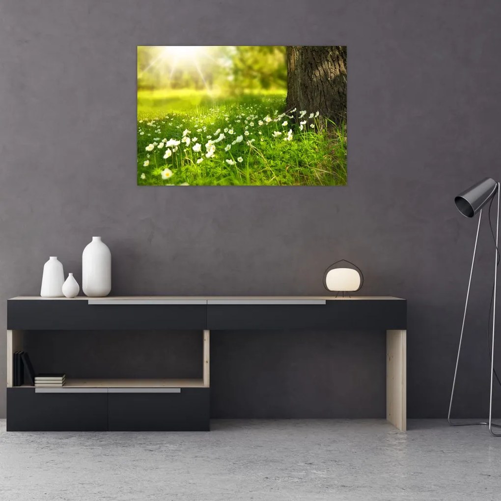 Tablou cu poiana și flori (90x60 cm)