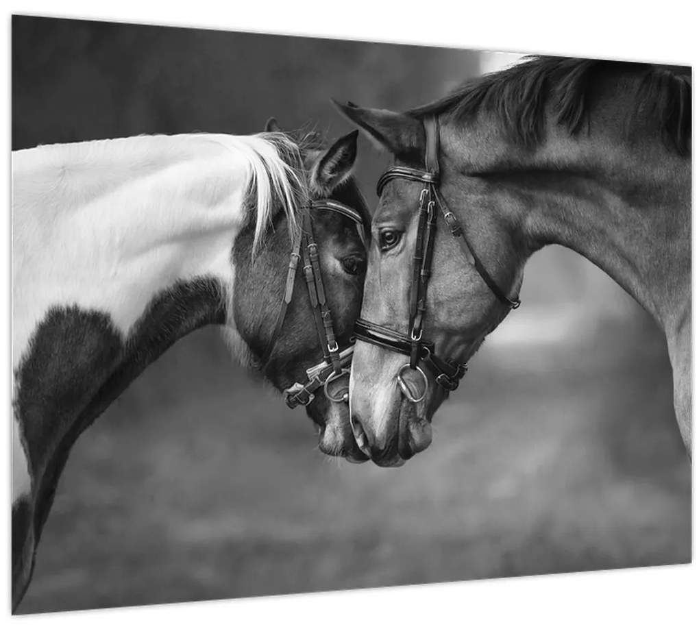 Tablou - Cai îndrăgostiți,alb-negru (70x50 cm)