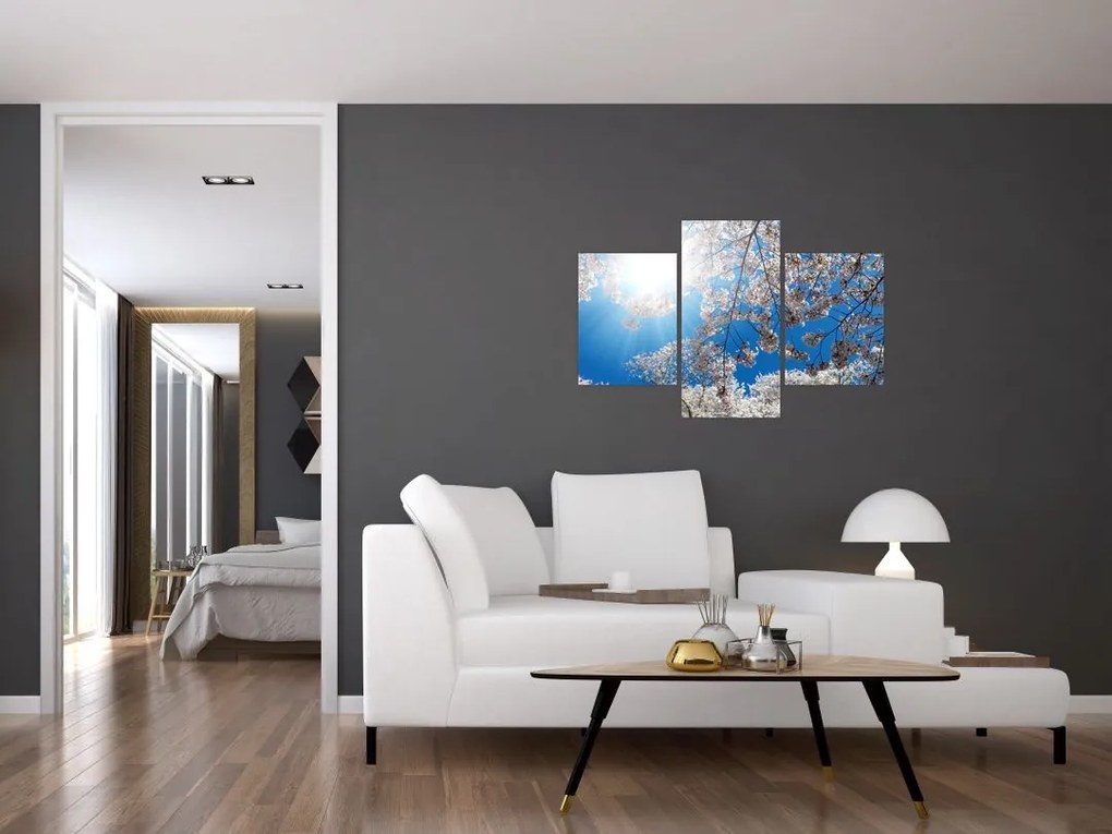 Tablou - Flori de cireș (90x60 cm)