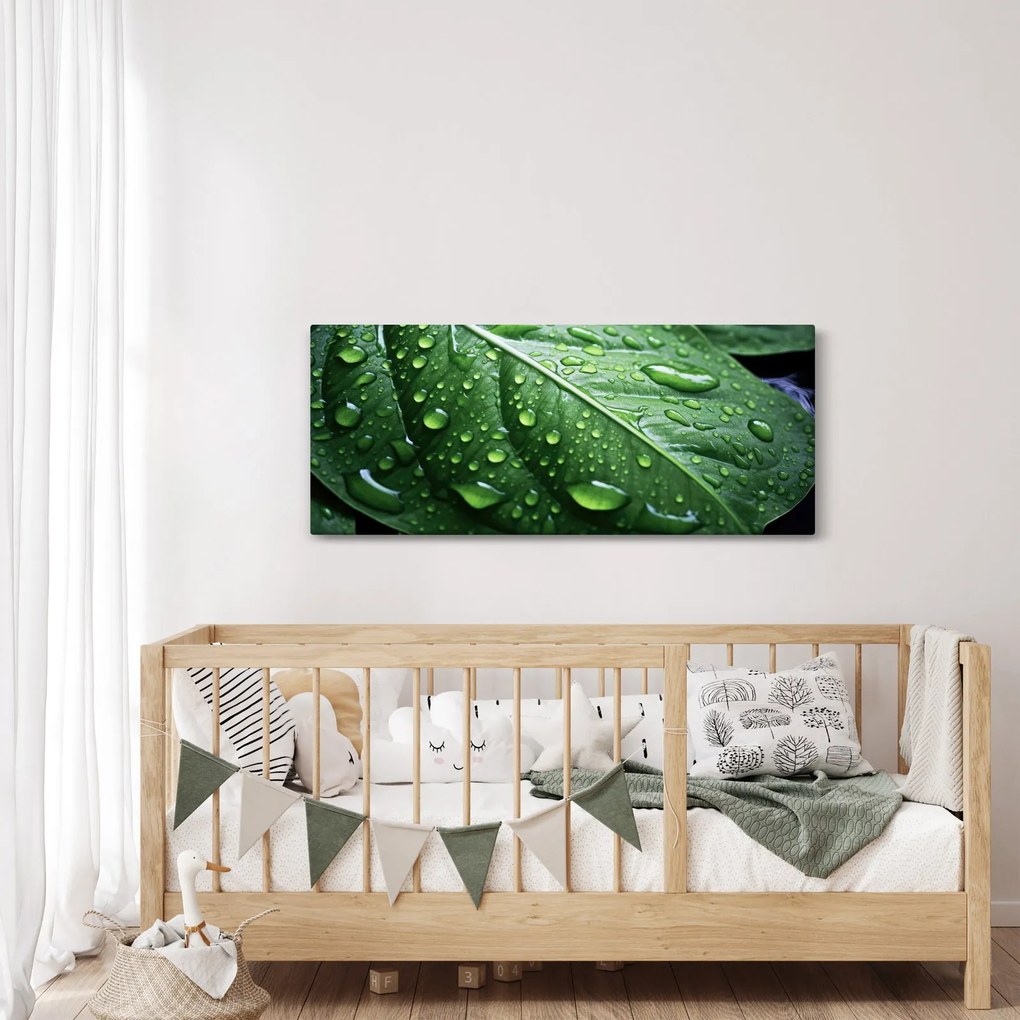 Tablou - Detaliu de frunze după ploaie (120x50 cm)