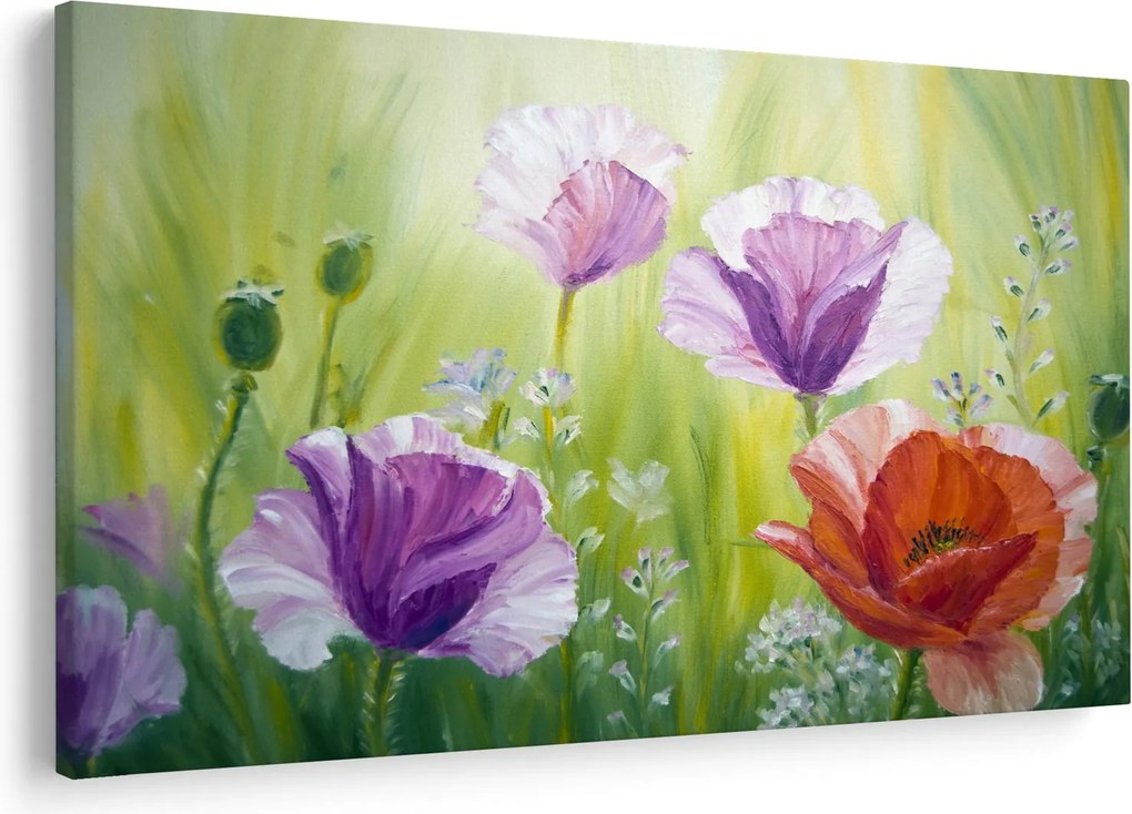 Tablou - Maci (90x60 cm)