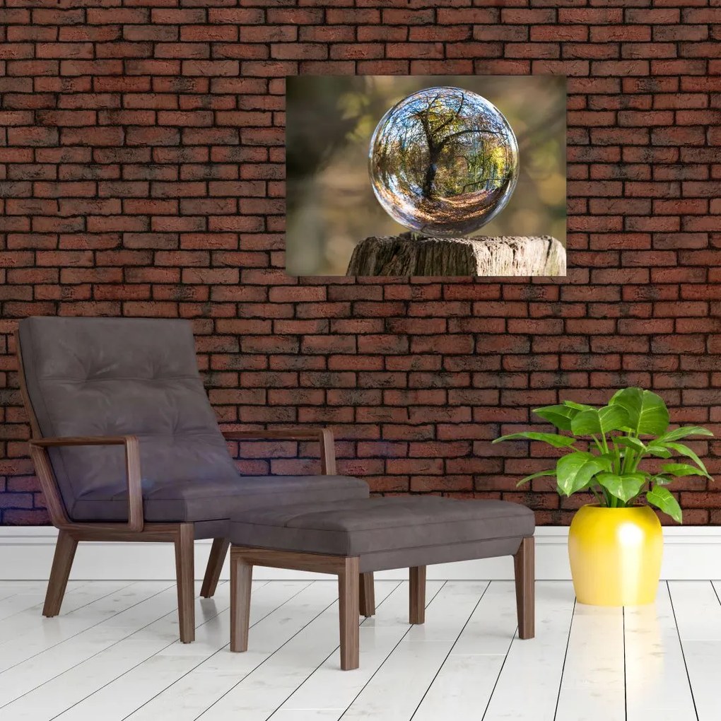 Tablou - Reflecție intr-o sferă transparentă (70x50 cm)