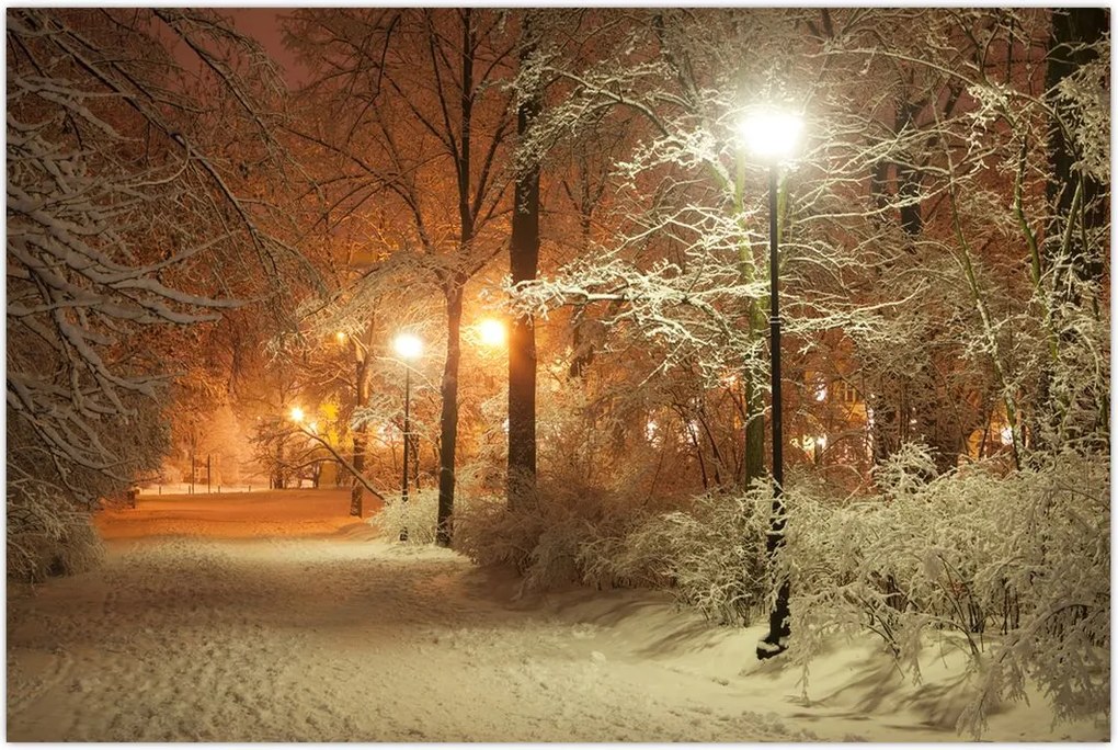 Tablou - Parcul înzăpezit (90x60 cm)