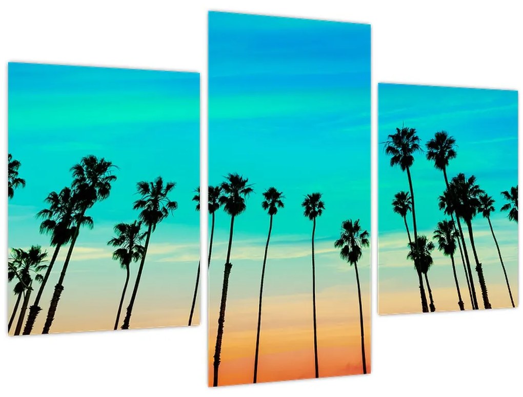 Tablou - California (90x60 cm)