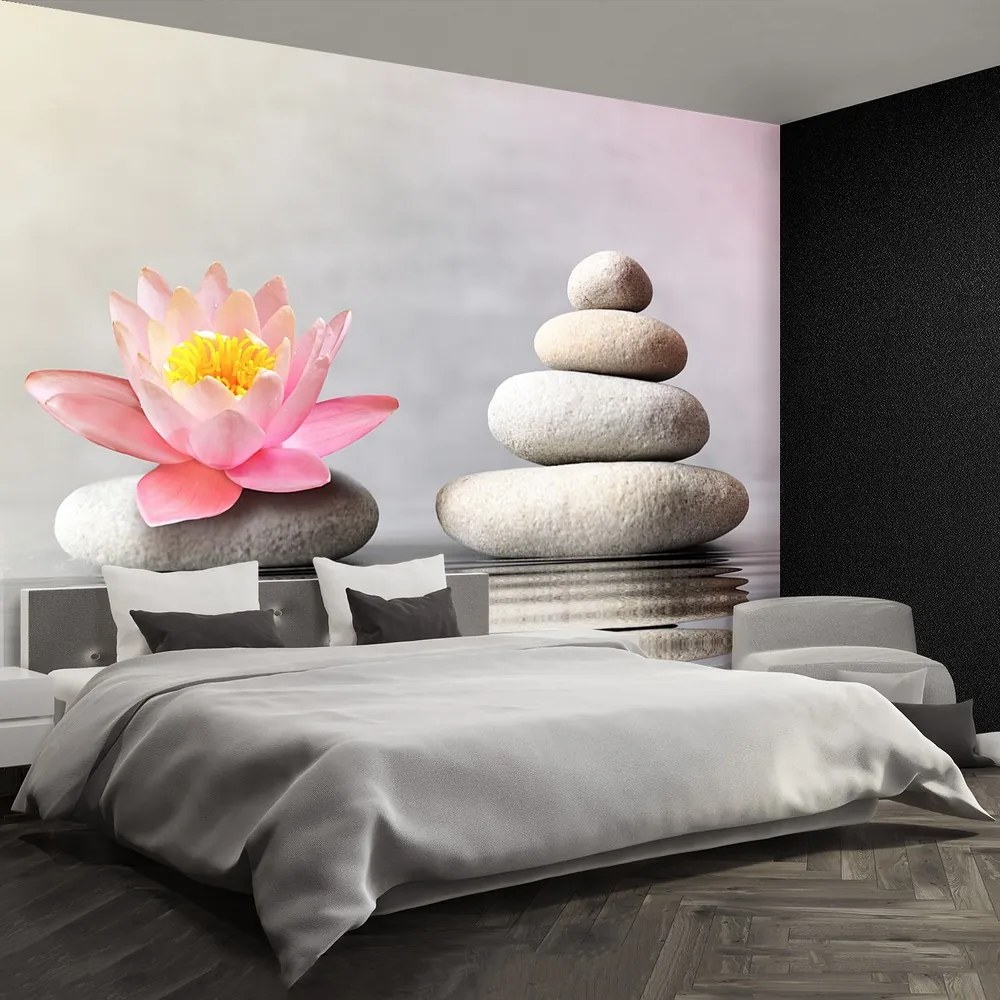 Fototapet Spa pietre