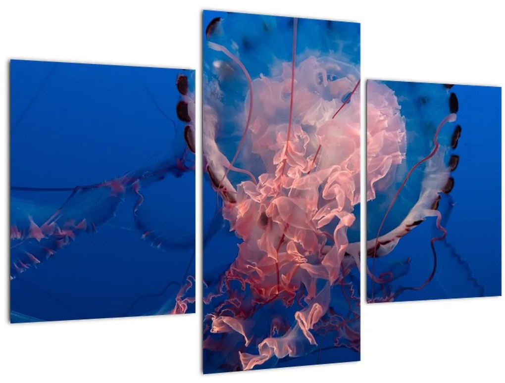 Tablou - Medusa (90x60 cm)