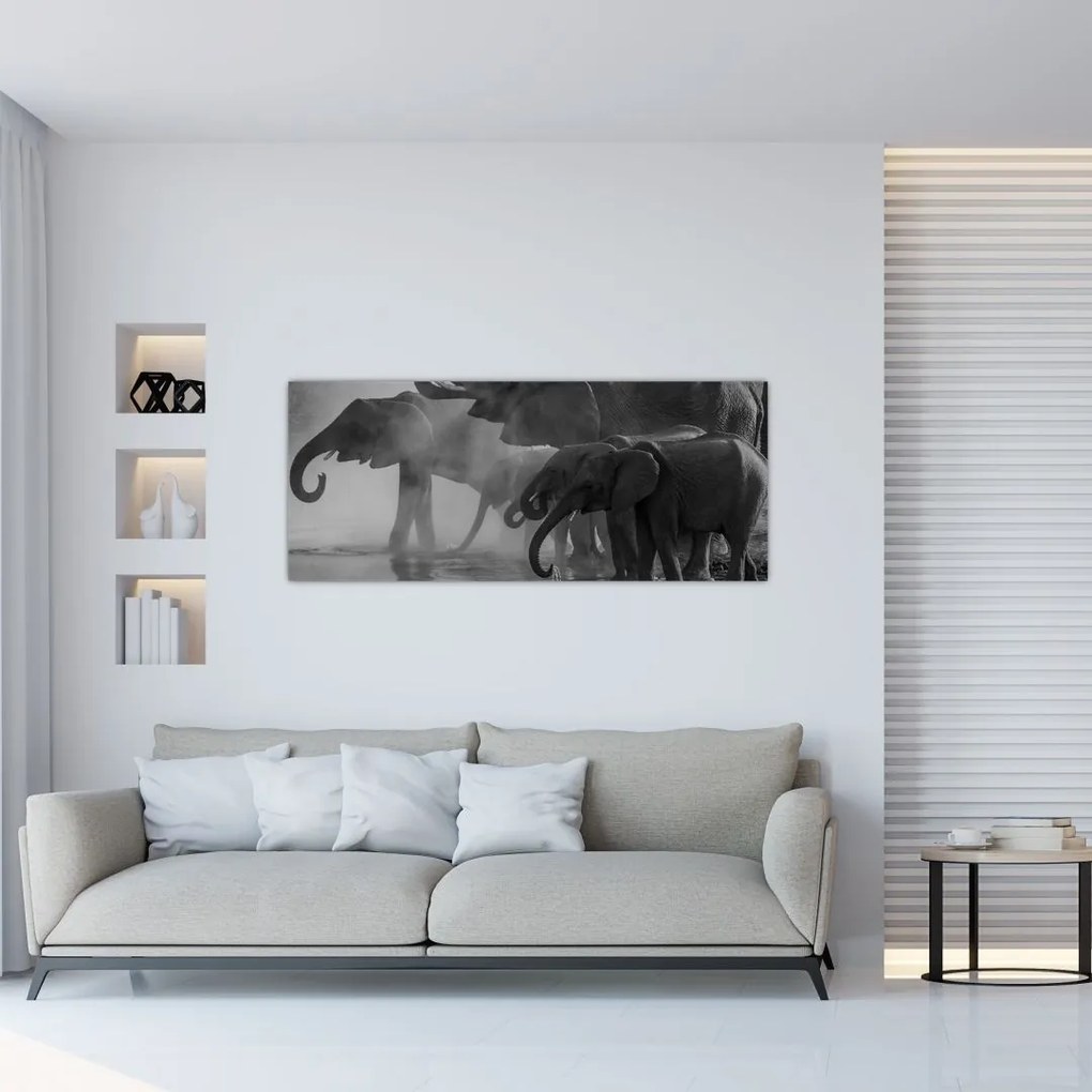 Tablou cu elefanți - albnegru (120x50 cm)