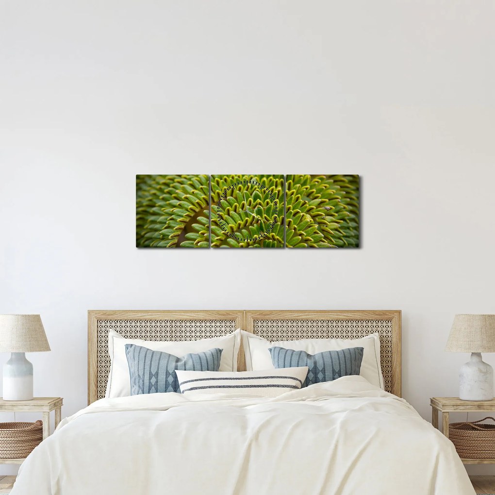 Tablou - Fern (cu ceas) (90x30 cm)