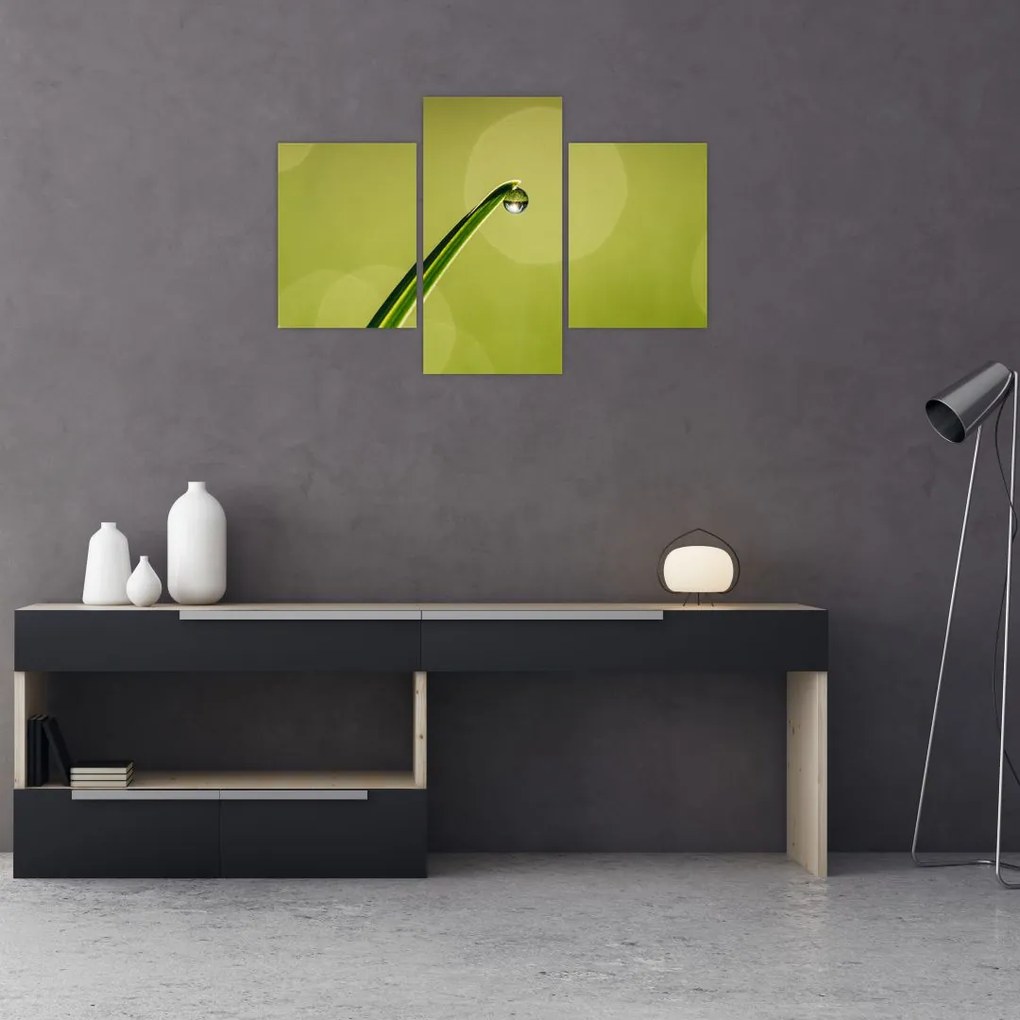 Tablou cu picătură de apă pe iarbă (90x60 cm)