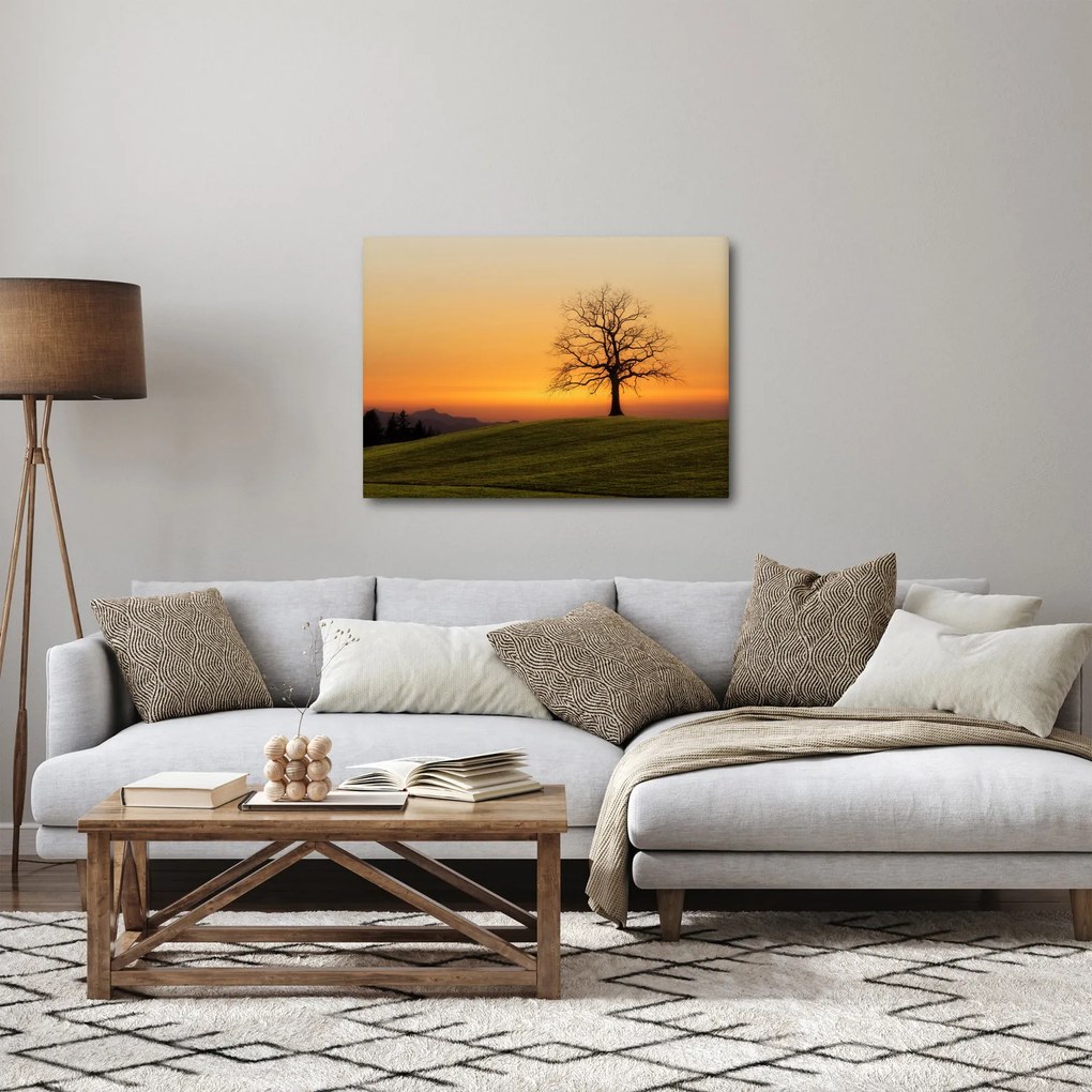 Tablou cu apus de soare pe o luncă (70x50 cm)
